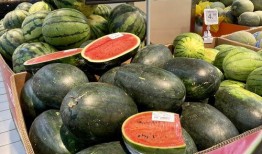 吃瓜网官网 吃瓜是什么意思,网络流行语背后的趣味与内涵